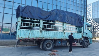 自動噴膠機再添新交付，助力大連汽車橡膠減震客戶升級